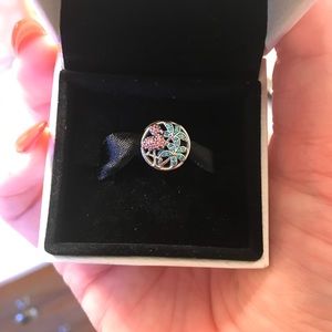 Pandora Charm